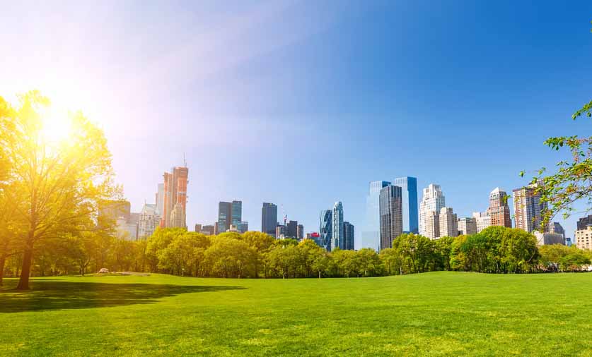 view of the city on a sunny day