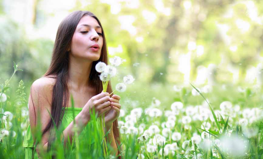 Girl blowing handful of dandelions into the wind